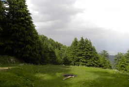 Kalatop Dalhousie: Best Time, Month, Location, Things to do Kalatop Dalhousie: Best Time, Month, Location, Things to do